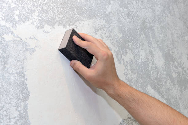 Best Basement Mold Removal  in Hutchinson, MN