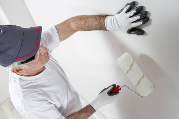 Best Forensic Mold Investigation  in Hutchinson, MN