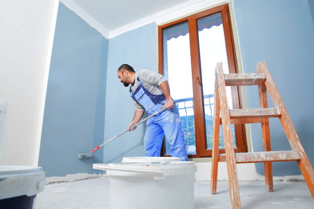 Best Industrial Mold Remediation  in Hutchinson, MN
