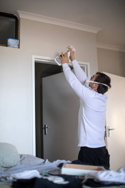 Best Mold Damage Restoration  in Hutchinson, MN