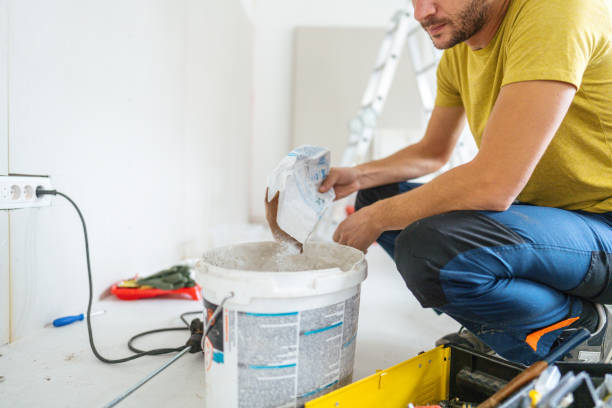 Best Black Mold Removal  in Hutchinson, MN