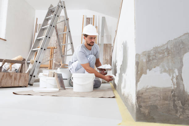 Best Commercial Mold Inspection  in Hutchinson, MN