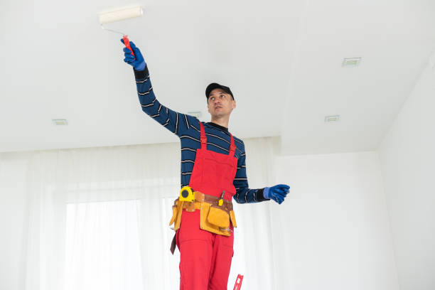 Best Mold Documentation for Insurance Claims  in Hutchinson, MN