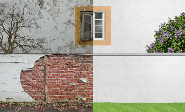 Best Emergency Mold Remediation  in Hutchinson, MN