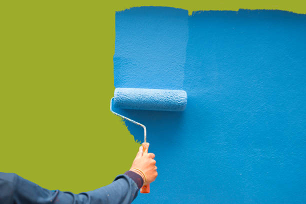 Best Mold Odor Removal Services  in Hutchinson, MN